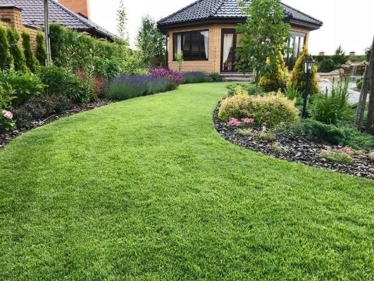 Газон егемиз кв/м 1000 тг