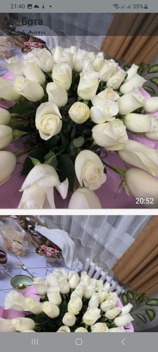 Цветы розы  белые