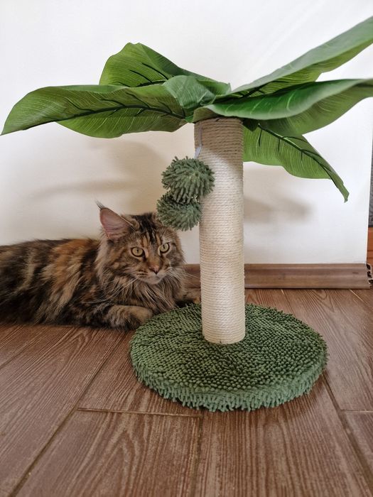 Драскалка за котки палма MP11