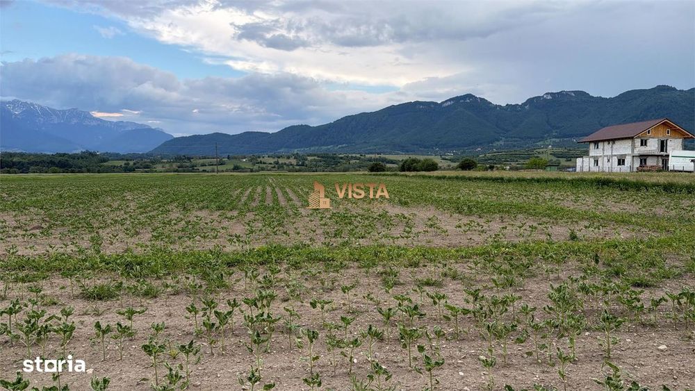 Teren de vanzare la intrarea in Zarnesti (Zona Penny ). Excelent pentr