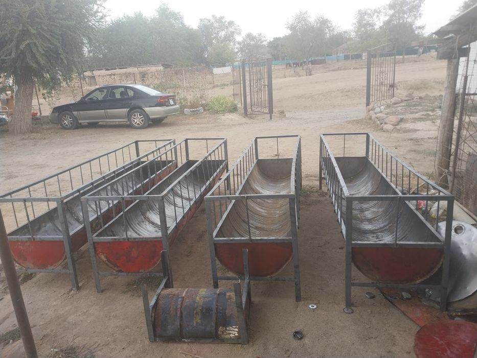 Астау Кормушка науа