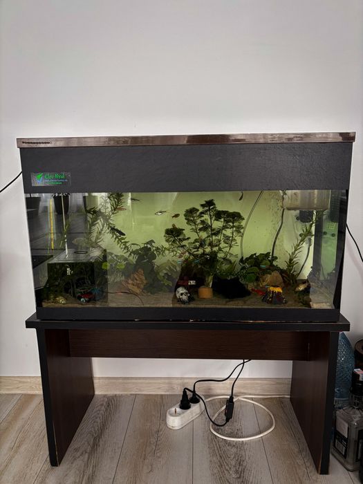 Vand acvariu facut pe comanda 60-70L, COMPLET