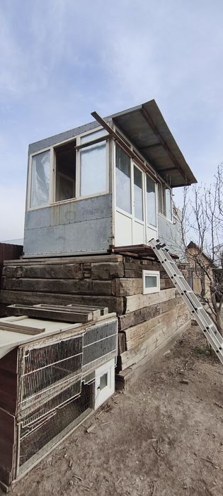 Голубятник и курятник