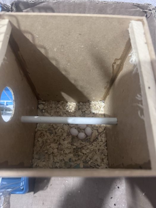 тор, ванна, бәрін беріп жіберем