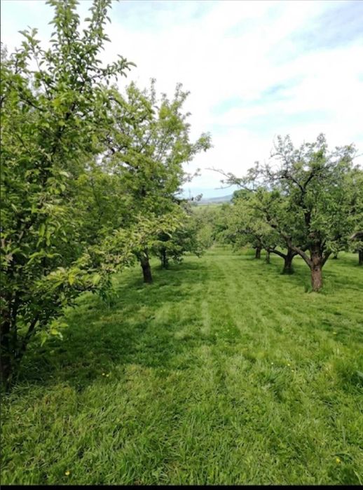 Vând  casă de vacanță la Văratec! oază de liniște cu teren generos.