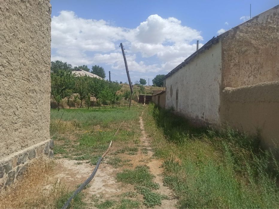 Кошработ туманида 30/35 сотхли ер сотилади 35000$ келишилади