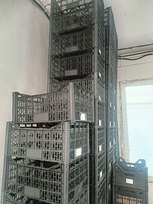 Пластиковые ящики