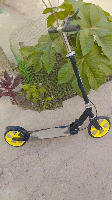 Samokat  firma scooter