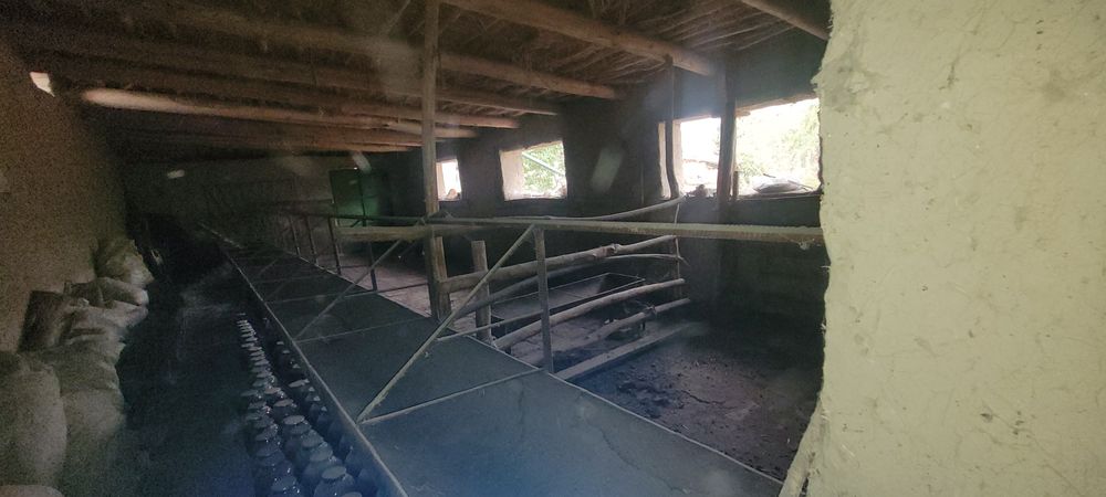 Ховли самарканд шох кучаси