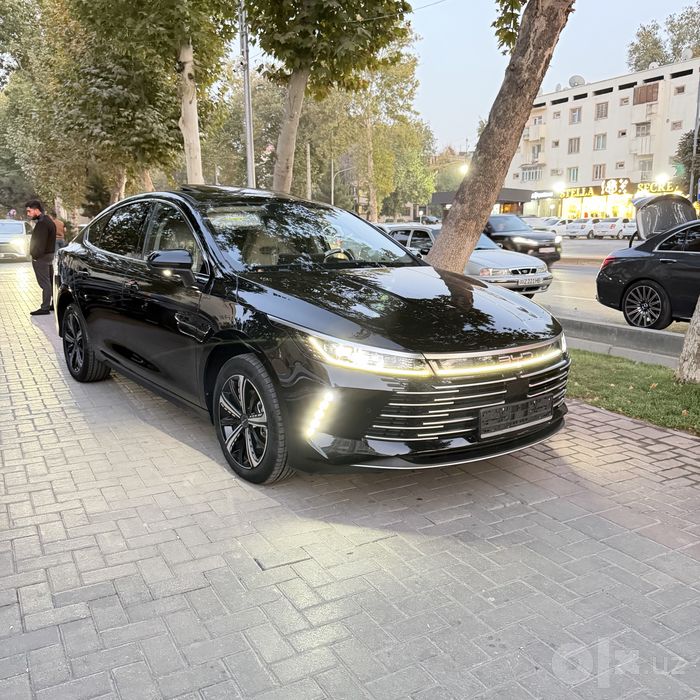 Byd Chazor Full 4-pozitsiya