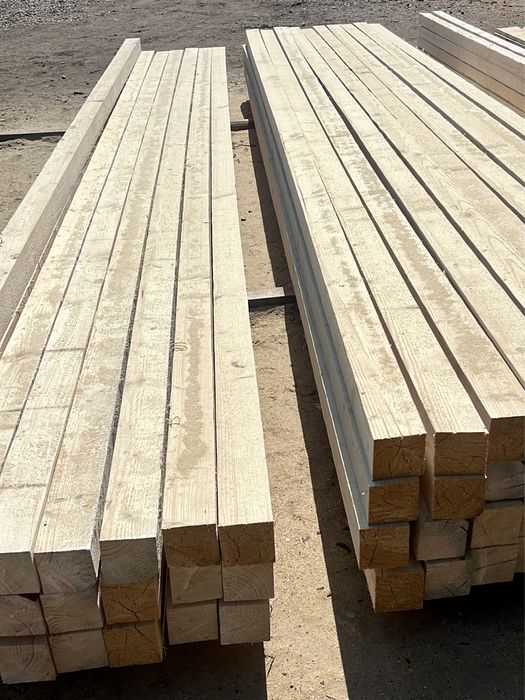 Cherestea Molid si Brad