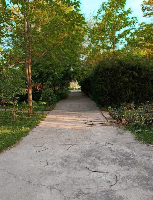 Продаётся зона отдыха (дача) на берегу Ташморя (первая линия).