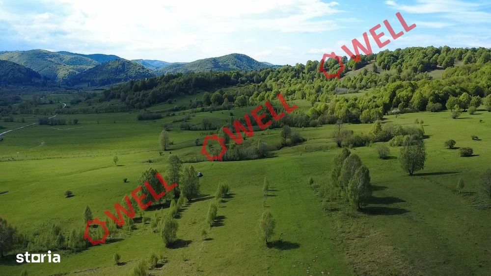 Teren extravilan de vânzare în Vama Buzăului!