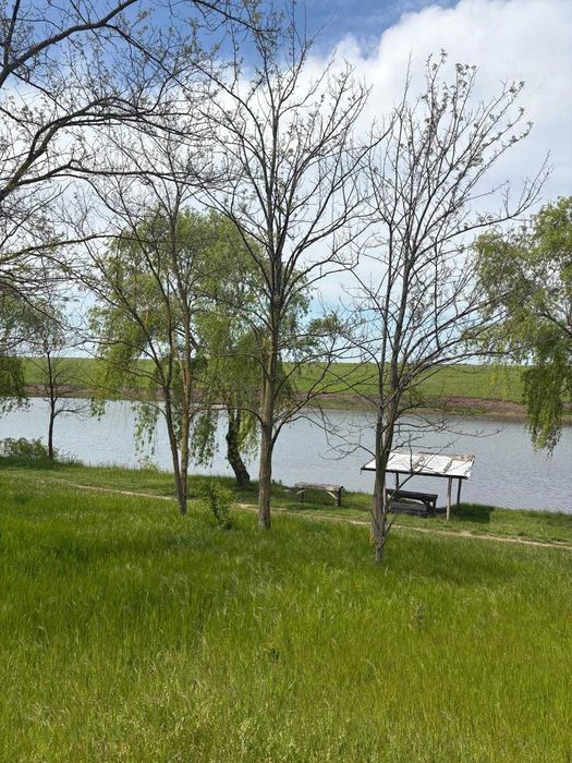 Oportunitate ideală pentru casă langa lac si padure de salcami