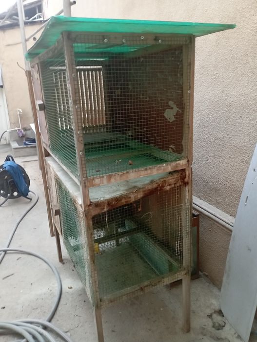 Куенга ин сотилади