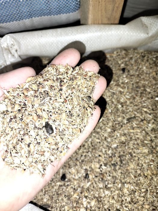 Отходы льна,для баранов