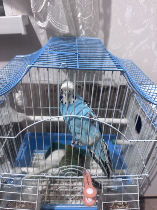 тор, ванна, бәрін беріп жіберем