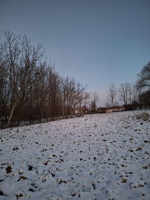 Vând teren (intravilan), 3600 mp, Brehuiesti