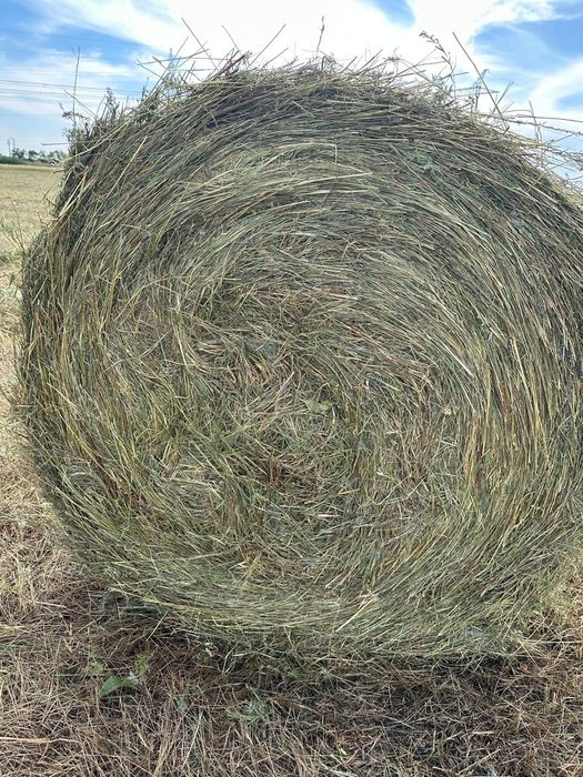 Шоп, сено, рулон