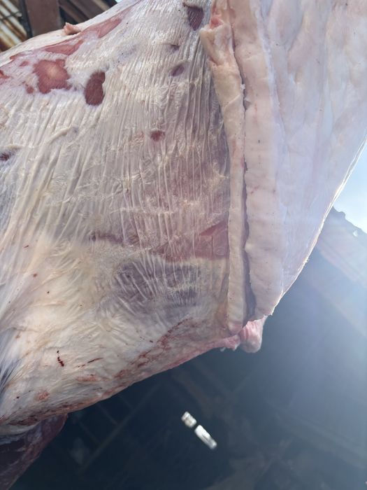 Кунажын байтал сатылады