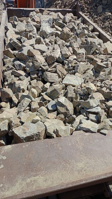 Скальник мелкий и крупный