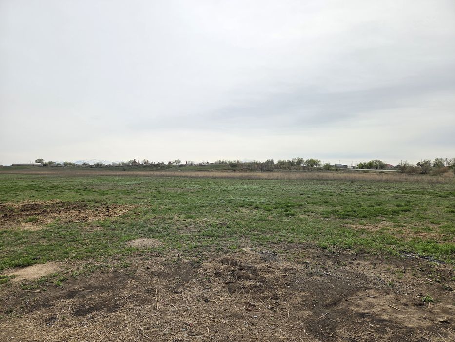 Фазенда продается