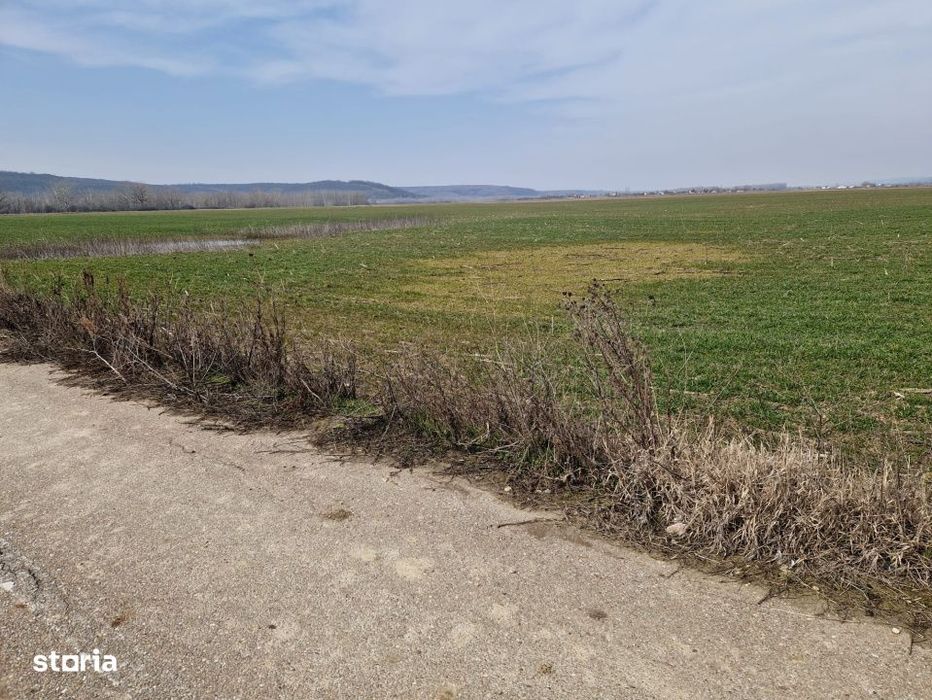 Teren intravilan de vanzare – 3300 mp, Lesile