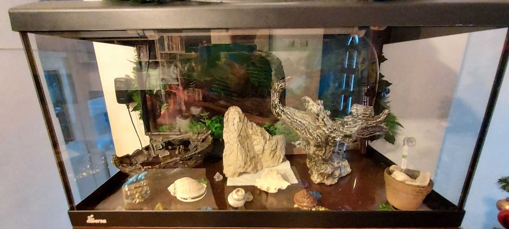 Acvariu  pentru pesti