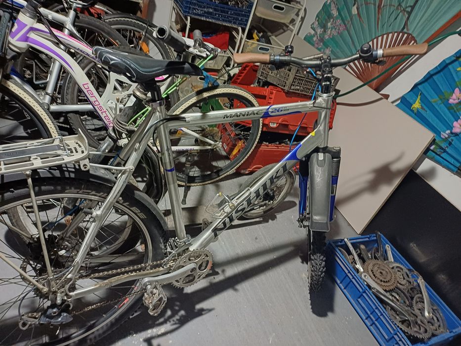Biciclete germania