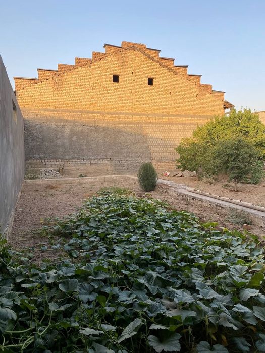 Аренда земли/Arendaga yer