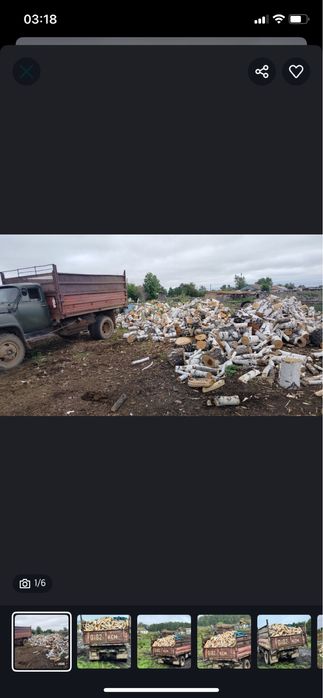 Продам дрова березу