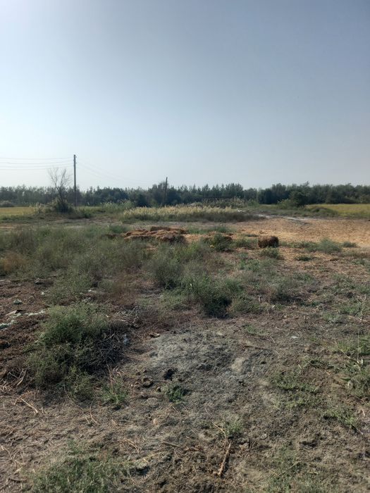 Noturar yer 70 sotok