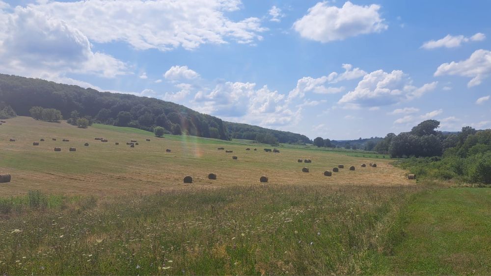 Vând baloți de otavă