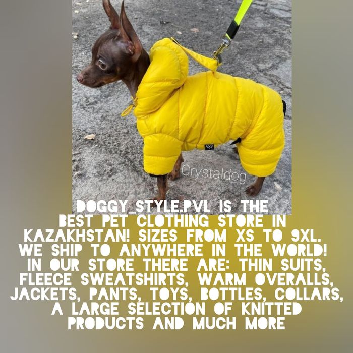 Одежда для собак