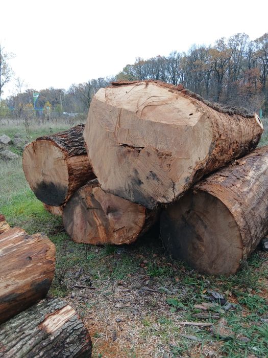 Vand lemn foc stejar