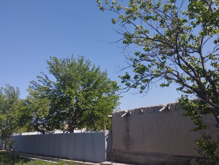 Hovli sotiladi 15 sotix