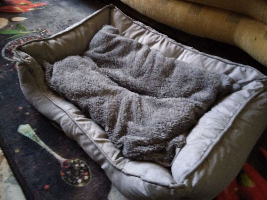 Дрешки и аксесоари за малко куче