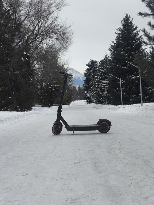 Электросамокат Ninebot g30
