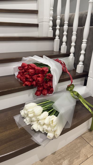 Караганда тюльпаны