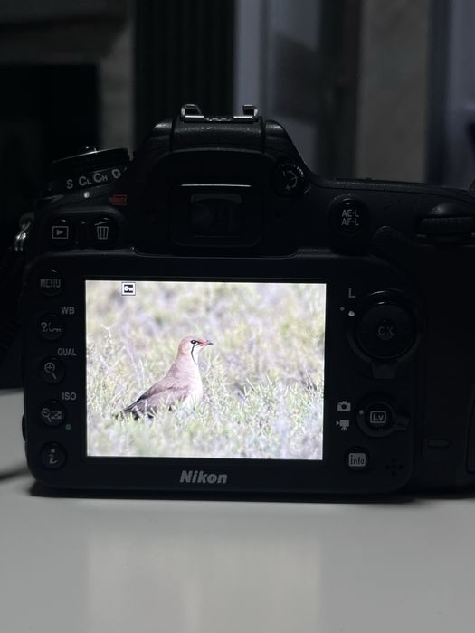 Nikon D7200 (61.446 cadre)