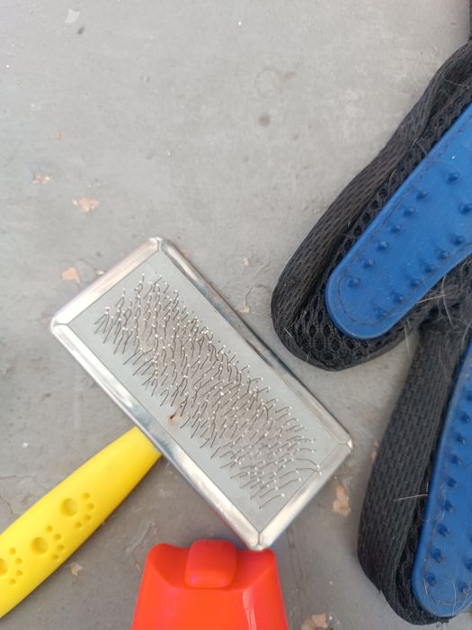 Гигиена для кошек или собак