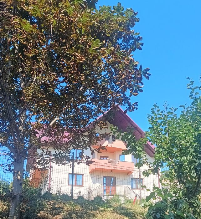 Cazare zona Solca/Cacica