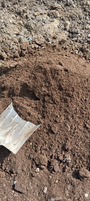 Кон Удобрение перегной навоз