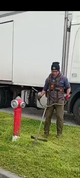 Grădinar peisagistic ofer servicii