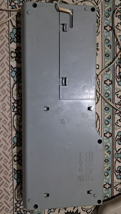 Фаэми орган электроорган