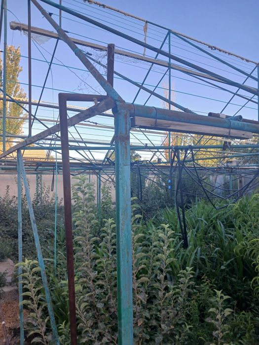 Issiqxona Tayyor halotda sotiladi 2.20 sotix 2ki qavatli selafan uchu