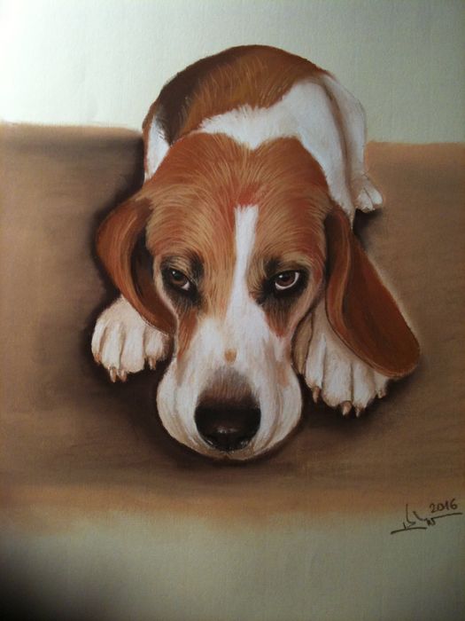 Портрети,подарък за сватба,рожден ден и други поводи