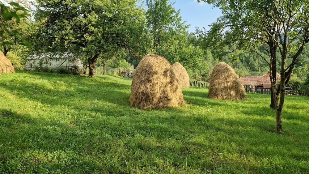 Vând teren in Valea Doftanei