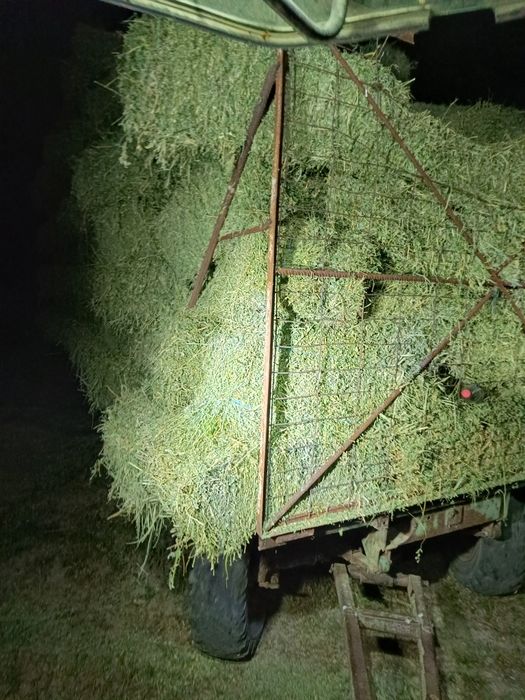 Baloți lucernă de vânzare