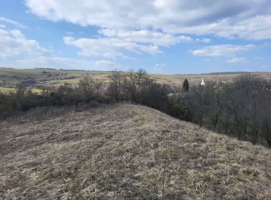 Teren 1 hectar cu casa